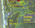 Satellite images and GPS data will be compared to help identify and map different agriculture and forest types at Sungai Cabang (shown above) and other areas 