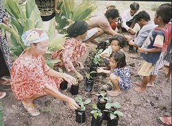 Villagers in Sungai Cabang are learning the techniques for coffee plant germination as well as planting techniques.