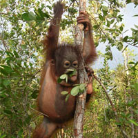 You are currently viewing Donna Leder’s Trip Report