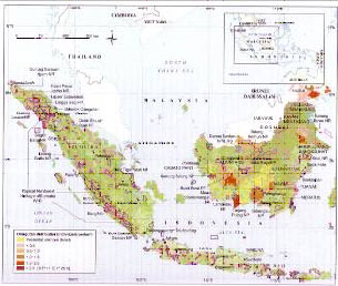 orangutan distribution