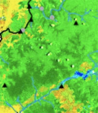 Peat swamp forests (dark green) follow riverbed flooding