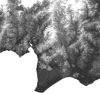 Figure 2. SRTM digital terrain data for Tanjung Puting. Elevation ranges from 0 meters (dark) to 80 meters (white) in the park.  Contrast is exaggerated to enhance visualization of gentle floodplain and swamp topography in these coastal peatlands