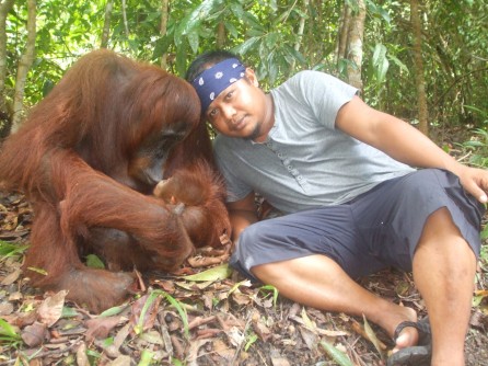 Mr Heppy and orangutan mother Tut at Camp Leakey 