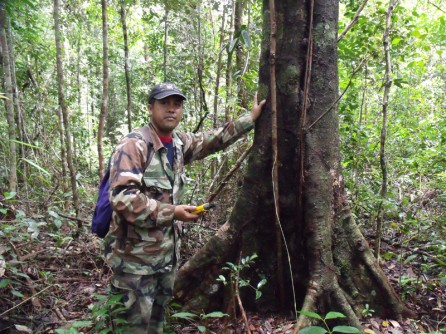 Pak Tamel surveying borders