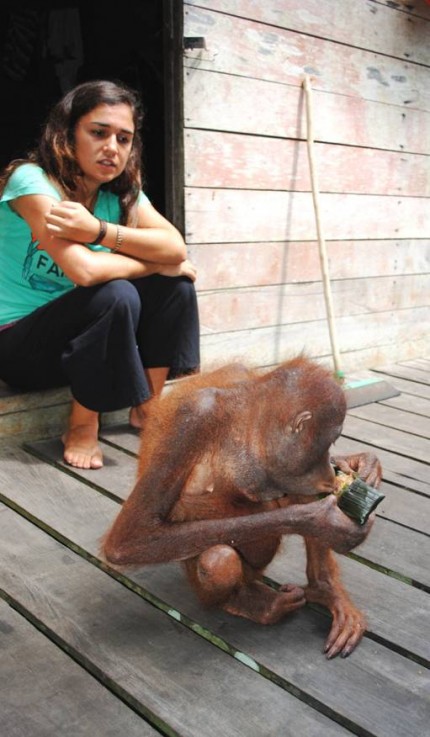 Catarina Antão overlooks a snacking Xena who is holding one of the porridge parcels