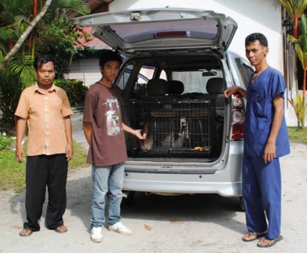 Mr Hakim (left) Mr Kautsar (center) who are both from the Kalaweit Care Center and Dr Prima (right) who works at the OFI Care Center