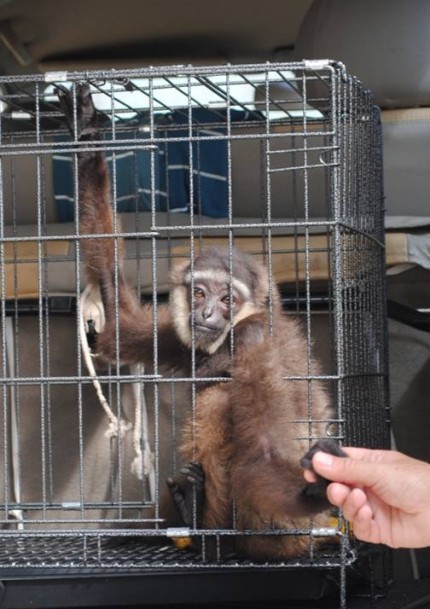 We take one last look at him as he is safely enclosed in the transit vehicle and Judith holds his hand for the last time.