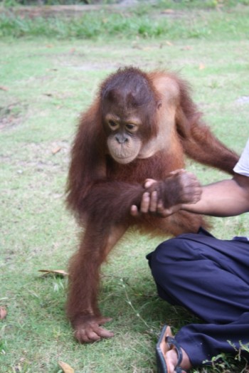 Saut at the OFI Care Center