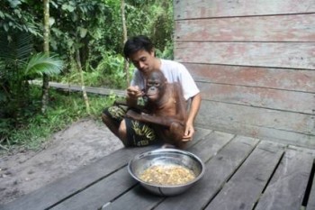 Pak Ateng helps to feed “Xena” a tasty meal of mung beans