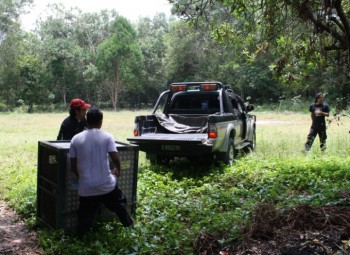 Congo’s transit cage is ready to be moved onto the transit vehicle