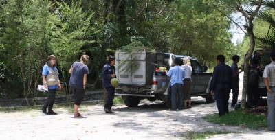 Orangutan in cage in the back of a truck with Dr. Galdikas supervising