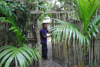 A secret garden: The idyllic chicken coop, made from cassava wood, and surrounded by palms.