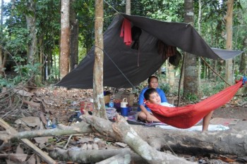 Waiting under the durian tree with a hammock and a flask of coffee.