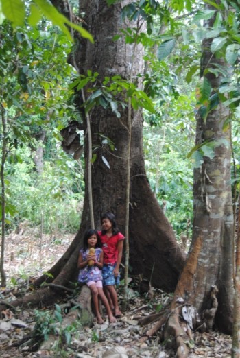 A mammoth durian tree.  Two girls are holding a fallen durian fruit as they wait for more to drop. 