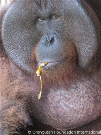 Boy enjoying a banana.