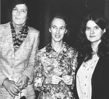 Leakey’s angels: Dian Fossey, Jane Goodall, and Birute Mary Galdikas (from left to right) devoted their lives to studying gorillas, chimpanzees and orangutans, respectively.