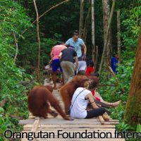 2014-07-06_forblogSeluangMaS,Camp Bridgevolunteersteam2_WM