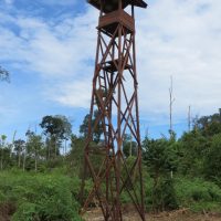 Tower
