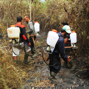 Read more about the article Fires hit close to home!