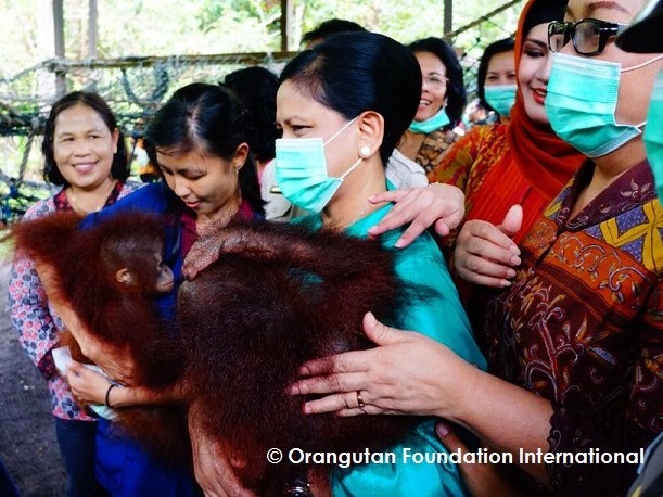 First Lady Ibu Iriana with orangutan