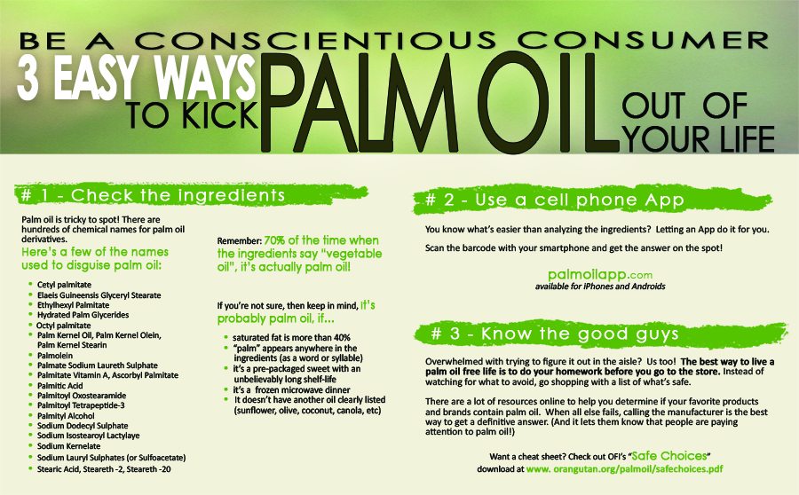 palm oil deforestation facts