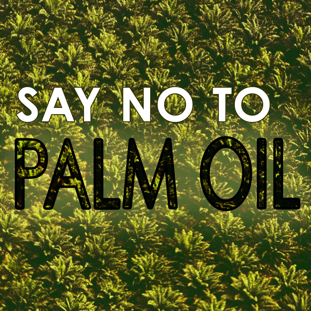 say no to palm oil deforestation boreno boycott palm oil Orangutan Foundation International