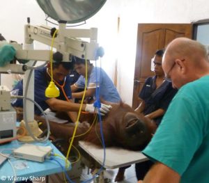 BBC unit filming during Rosemary's eye operation