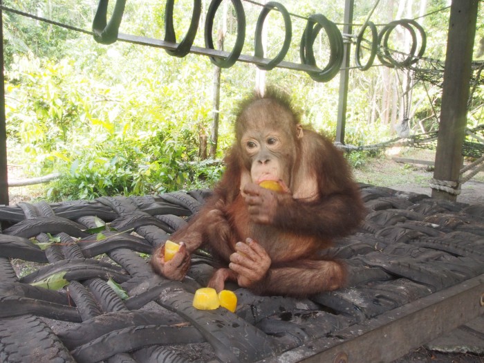 Ryan sampling fruit ice at playground