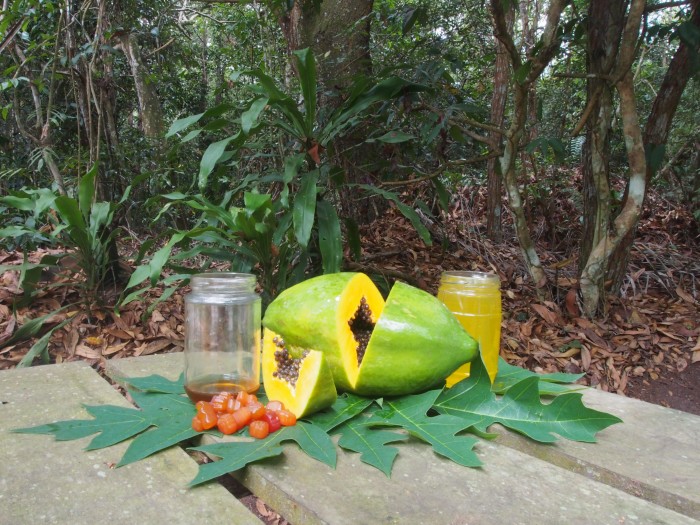 fruit ice papaya bliss ingredients