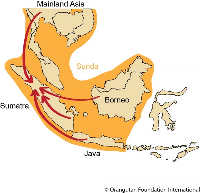 Figure: sunda_map_migration