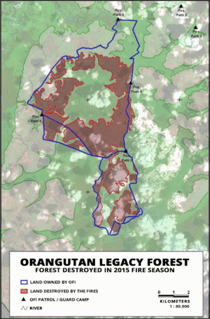 OLF fire damage map