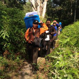 Read more about the article OFI Renews Patrol Efforts in Tanjung Puting