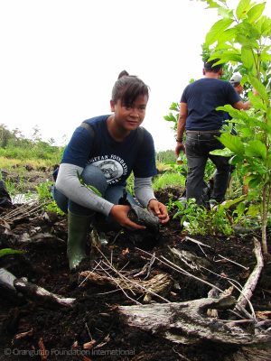 Reforestation Program donate Orangutan Foundation International Borneo Indonesia 2015 Fires