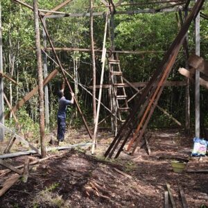 Read more about the article Building a New Orangutan Playground