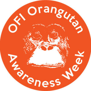 Read more about the article Orangutan Awareness Week!