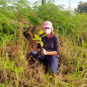 Read more about the article 2021 Seed And Sapling Appeal