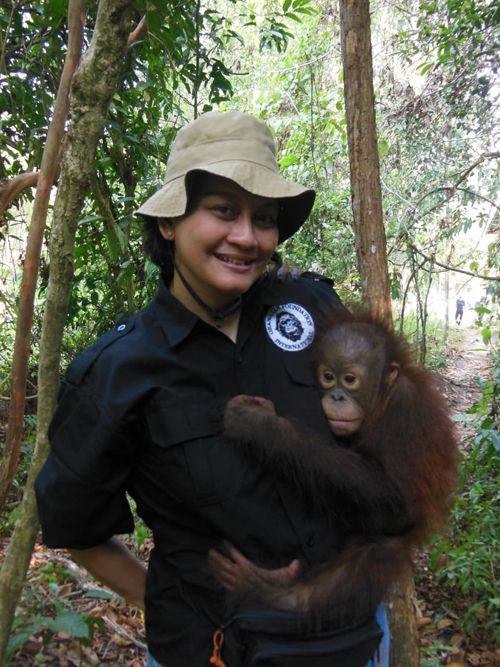 Prepandemic Ibu Renie holds a rescued infant orangutan at the Care Center in Central Kalimantan