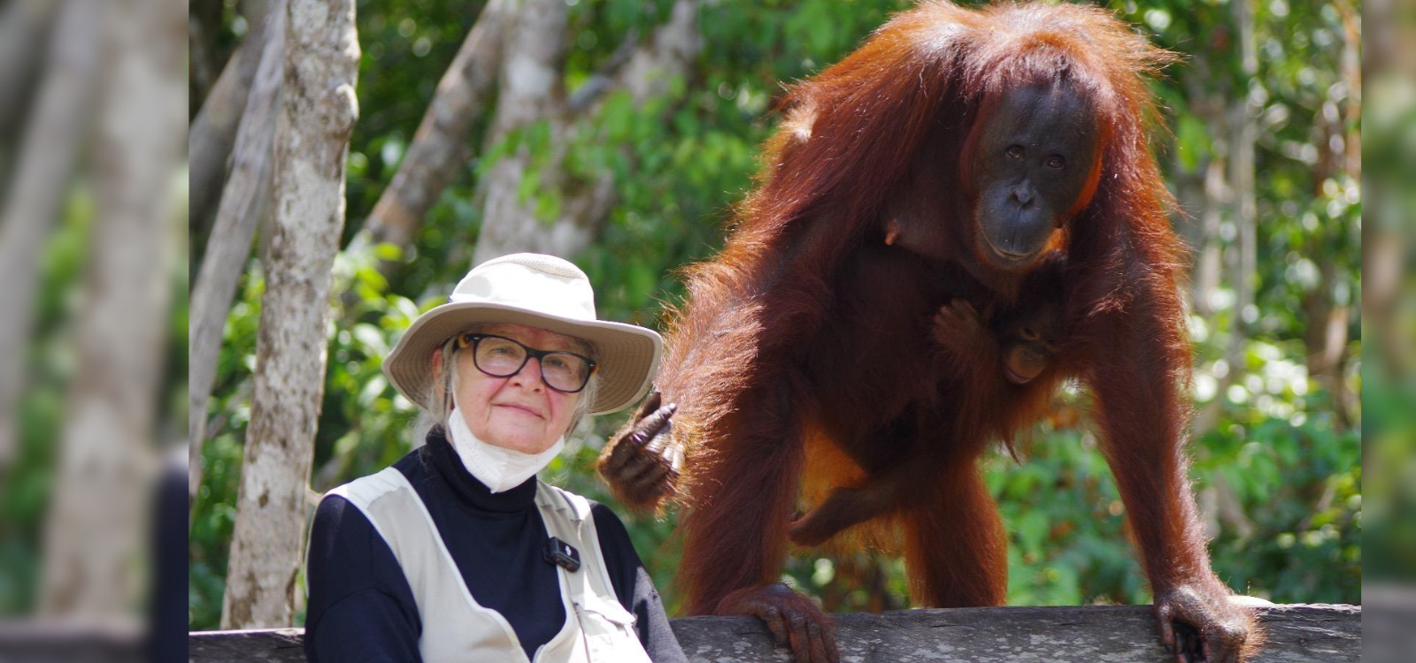 Tribute to Dr.Birute