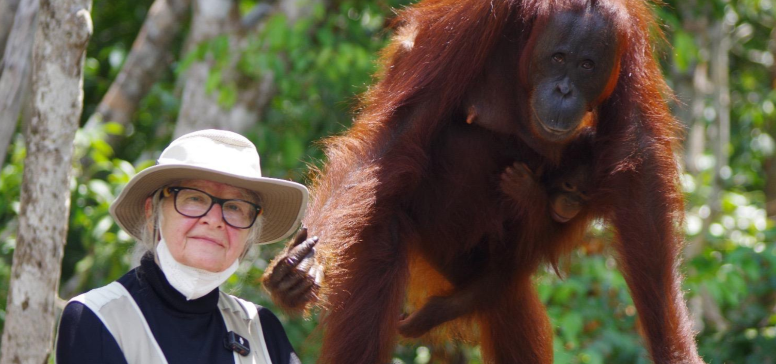 Tribute to Dr.Birute