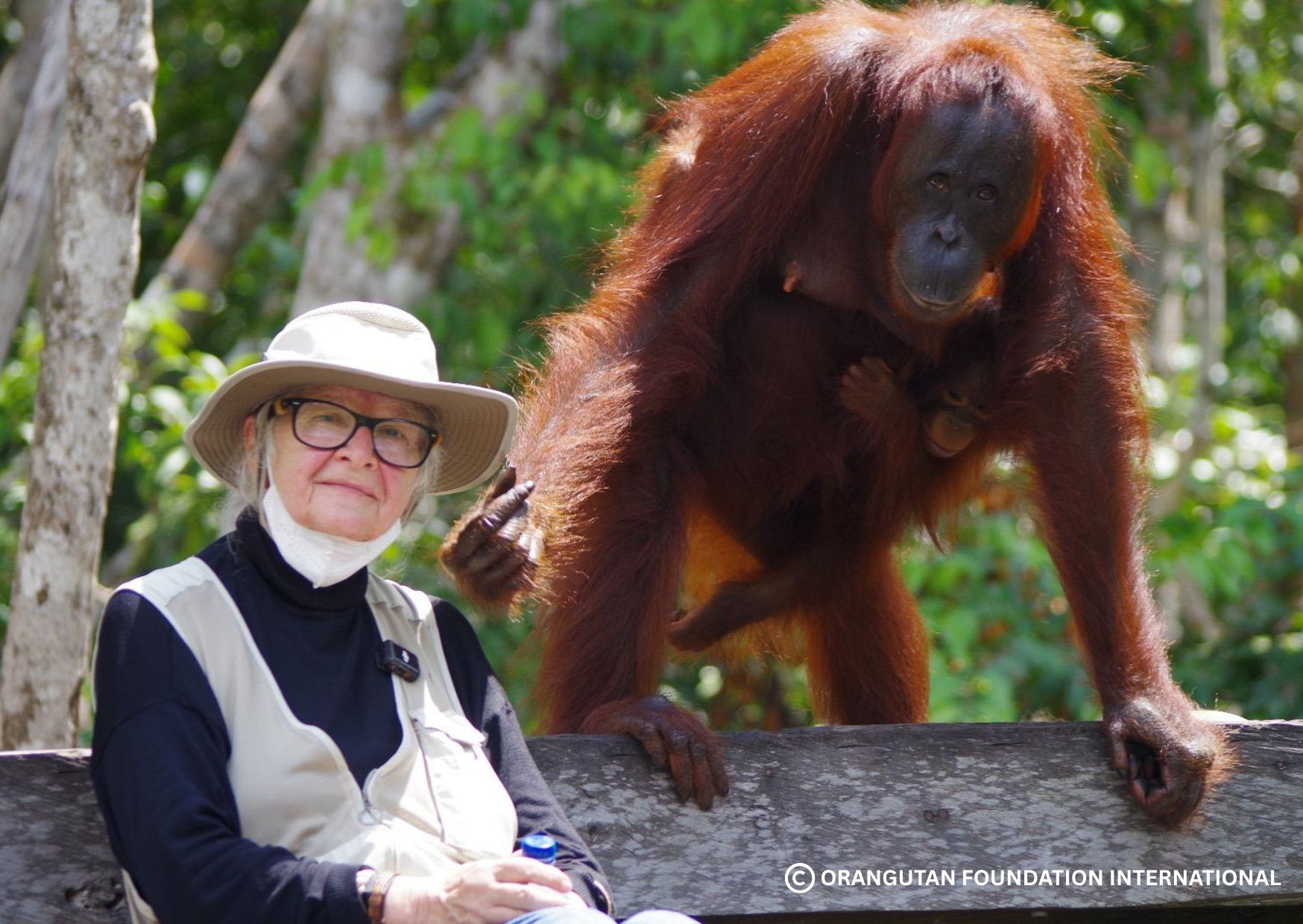 Tribute to Dr.Birute